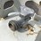 #9079-•-(2)-propane-tanks-(o3)-image-4