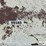 fuel-tank-image-19