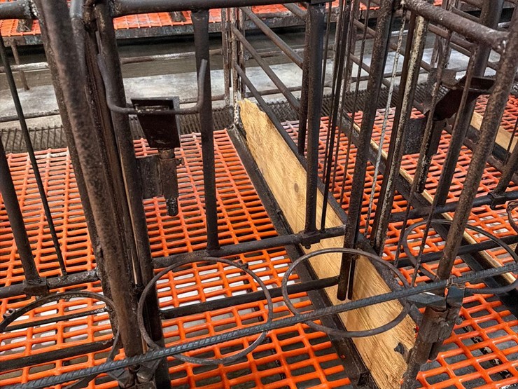 52-metal-calf-crates-image-25