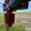 2021-new-holland-1000-image-12
