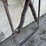 antique-cattle-scratcher/-oiler-image-3