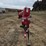 westfield-mk100-61-auger-image-2