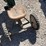 #7396-•-vintage-kids-tractor-tricycle-image-9