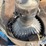 almaco-cts-mo-planter-seed-bowl-units-image-10