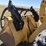 1997-deere-544g-image-43