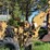 vermeer-m455-image-31