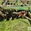 john-deere-12-image-12