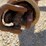 #24564-•-bush-hog-3-point-post-hole-auger-image-11