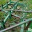 john-deere-12-image-15