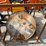 #9043-•-unused-ride-on-concrete-power-trowel-(o12)-image-4