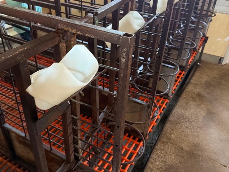 50-metal-calf-crates-image-11