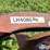 massey-ferguson-3-image-18