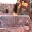 #6955-•-sweet-corn-sheller-image-19