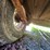 #24322-•-12'-flatbed-trailer-image-25