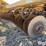 landoll-875-image-17