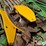 john-deere-653a-image-10