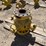 (2)-7-1/16”-x-4-1/16”-6-way-fluid-crosses-image-3