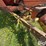new-holland-519-image-10