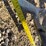 landoll-875-image-9
