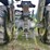 ford-5030-image-5