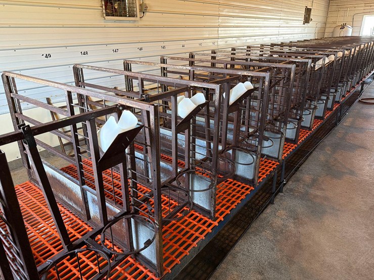 50-metal-calf-crates-image-8