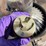 almaco-cts-mo-planter-seed-bowl-units-image-11