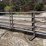 20'-freestanding-livestock-panels-image-5