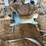 riding-horse-&-bull-image-3