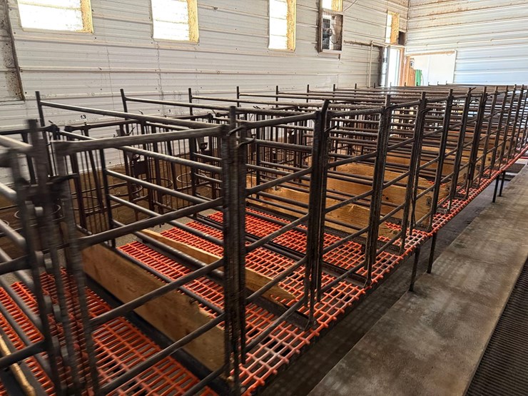 52-metal-calf-crates-image-10