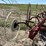 hesston-3981-image-11