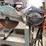 target-guardmatic-brick-saw-image-4