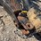 bush-hog-3210-image-7