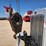 2013-peterbilt-367-image-6