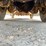 1998-peterbilt-379-image-28