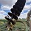 john-deere-230-image-7