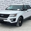 florida-government-&-fleet-auction---day-3-image-1