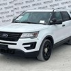 florida-government-&-fleet-auction---day-3-image