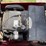 international-cub-image-40