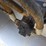 2013-dynapac-ca3500pd-image-16
