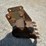 bobcat-743-image-46