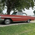 devils-run-car-auction-image-1