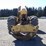 tigercat-630e-image-6