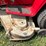 international-cub-image-14