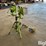 power-light-flood-light-tripod-image-5