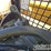 2023-caterpillar-259d3-image-31