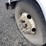 1997-ford-f800-image-24