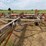 22’-graham-hoeme-chisel-image-4