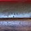 gew.88-commission-rifle,-8x57mm,-bolt-action-image-21