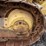 1978-caterpillar-d7g-image-29