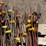 electric-fence-posts-&-insulators-image-11